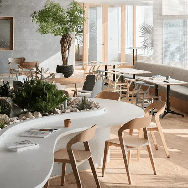 Văn phòng chia sẻ thắp sáng sáng tạo