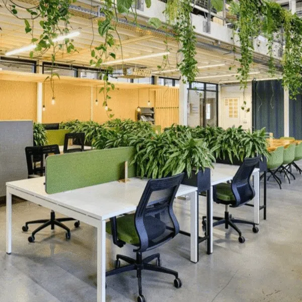 Thiết kế nội thất văn phòng xanh