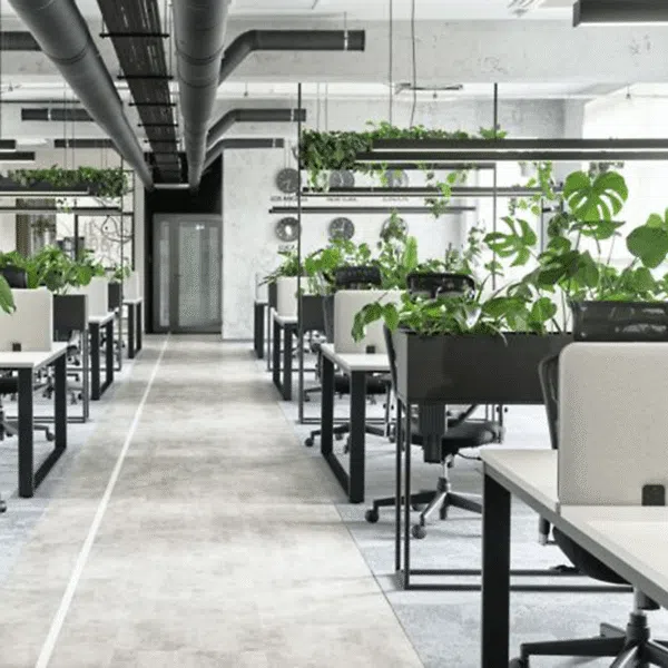 Văn phòng xanh: Hạt giống cho sự bền vững và sáng tạo