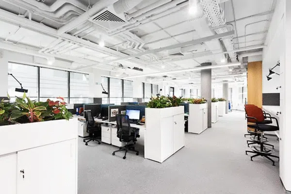 Cách bố trí nội thất văn phòng giúp làm việc tập trung hơn mỗi ngày