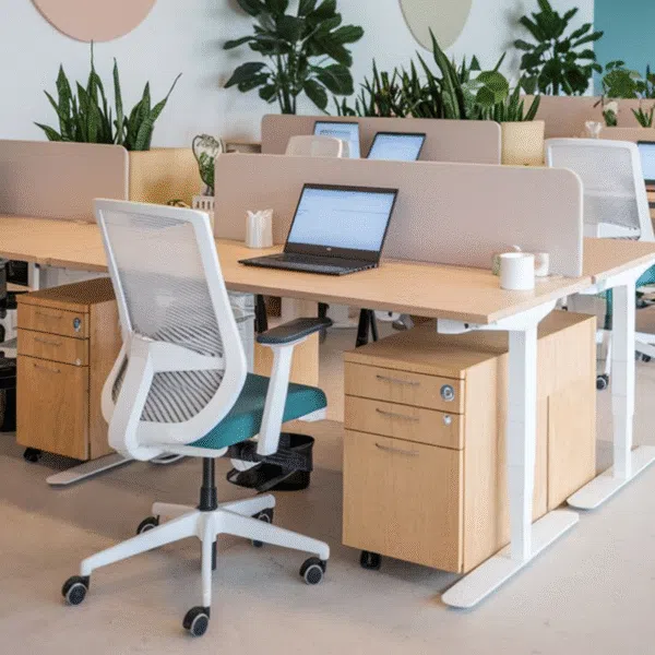 Nội thất văn phòng chuẩn công thái học: nền tảng cho sự ổn định