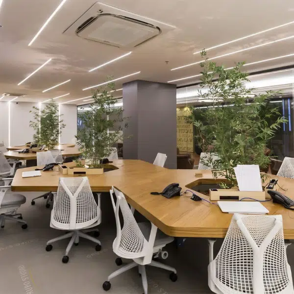 Lý do bạn nên thiết kế nội thất văn phòng 100m2 chuyên nghiệp